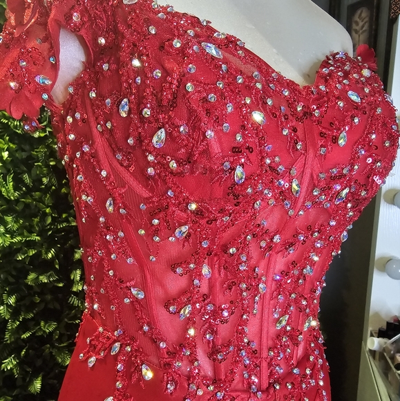 Ladivine by Cinderella dress, size medium, used once - Picture 4 of 13